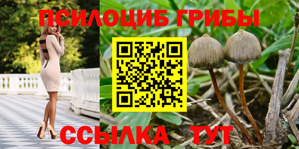 Галлюциногенные грибы мицелий  Галлюциногенные грибы MAGIC MUSHROOMS  как найти закладки  Вход с VPN  Фролово 